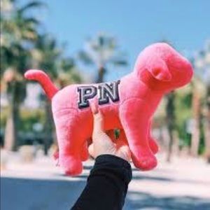 Victoria’s Secret Pink LARGE dog